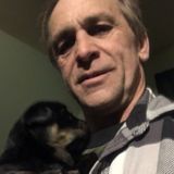 Great House Sitter in Schenectady, New York