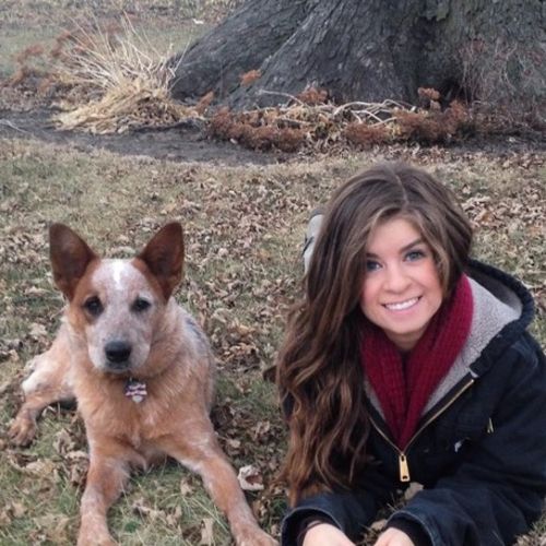 Pet Care Provider Erin D's Profile Picture