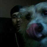 Experienced Pet caretaker Available For Jobs taking care of dogs and other pets I'll look after and care. Lots of walks