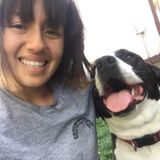 Pet sitter