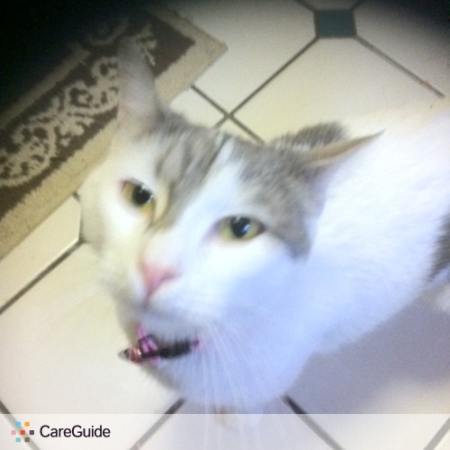 Pet Care Job wendy h's Profile Picture