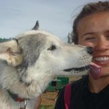 Dog walker / general pet sitter (would be happy to help take care of your fur baby/ babies!)