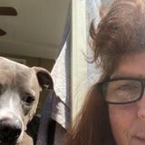 Pet Sitter/ House Sitter