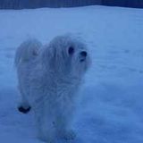 Nanny needed to care for our little boy in Kanata