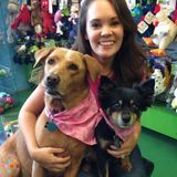 Dog Walker and Pet Sitter in James Island