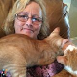 Lone Star Critter Care - Quality Care & Service