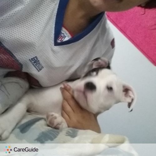 Pet Care Provider Natalie R's Profile Picture
