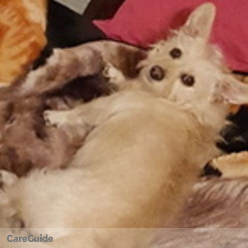 Pet Care Job Don Mccloud's Profile Picture