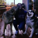 Im a hardworking 18 year who loves working with animals looking to get more experience with other animals other than my own.