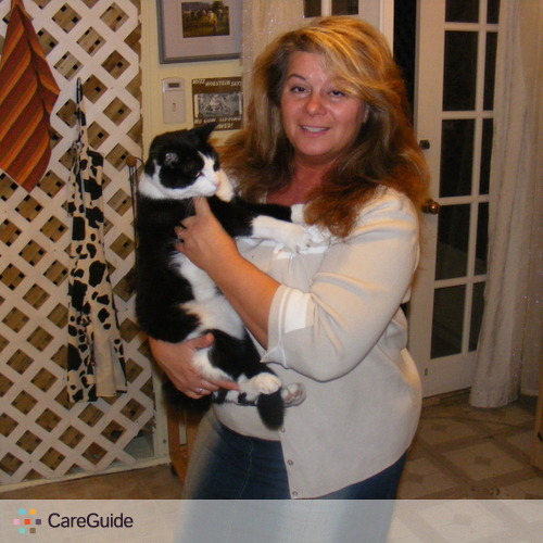 Pet Care Provider Lucy L's Profile Picture