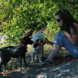 Pet Sitter
