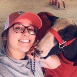Interested In a Pet Sitting Job in Webster, Texas