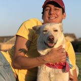 Pet sitting and walking in Los Banos