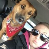 Job Posting: Cochrane, Alberta - Regular Pet Sitting Required