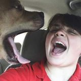 For Hire: Professional Pet Sitter in League City, Texas