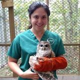 Clifton Park and Ballston Spa Pet Sitter/Dog Walker Interested In Work