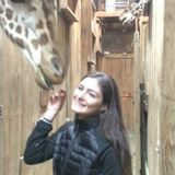 Animal lover and UCSB student looking to help out