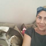 Skillful Housesitter