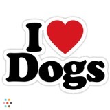 I am a 12 year old who loves to walk dogs