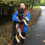 Loving Fairfax Pet Service Provider Searching for Work
