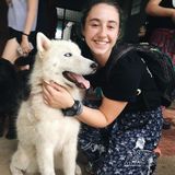 Seasoned Animal Lover in Fort Collins, Colorado