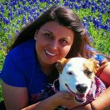 Happy to provide Short or Long term House Sitting