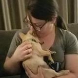 Rancho Cucamonga based pet sitter with over 10 years experience.