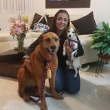 Trustworthy, honest, responsible and experienced house and petsitter seeking work in Virginia.