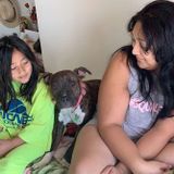 Buckeye Pet Service Provider Looking For Work in Arizona