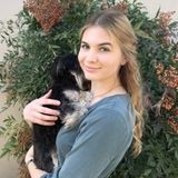 Looking For an Animal Caregiver Job in West Sacramento, California