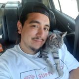 Searching for Oxnard Dog Walker, cat sitter or trainer I am very patient and caring and loving for animals California Jobs