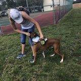 Luxury Pet Service