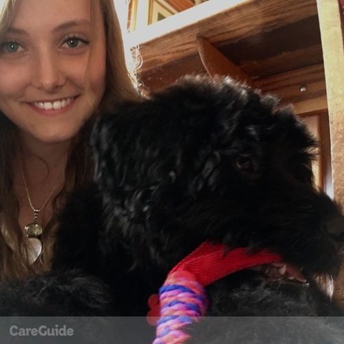 Pet Care Provider Alex B's Profile Picture