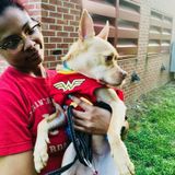 Energetic Pet Sitter in Glen Burnie