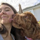 Experienced Animal Caretaker