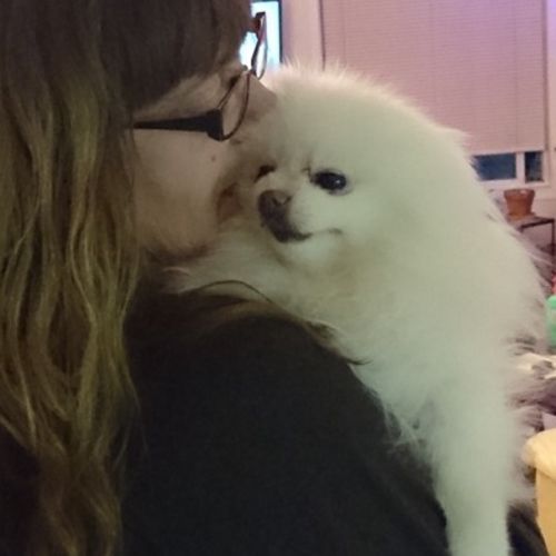 Pet Care Provider Gayle K's Profile Picture