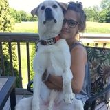 Dog Walking / Pet Sitting Offered!