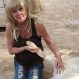 Excellent dog sitting and care
