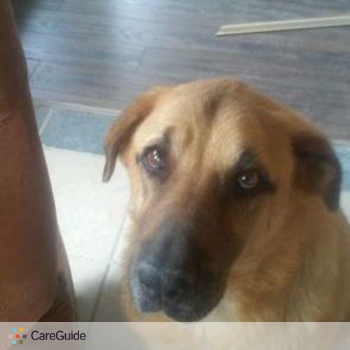 Pet Care Job Elizabeth Villanueva's Profile Picture