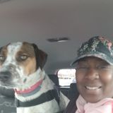 Caring Pet Sitter in Kingston, New York