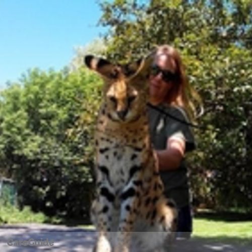 Canadian Nanny Provider Kathy V's Profile Picture