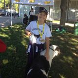 Loving and caring Dog Walker- North End of Barrie- Available Immediately- $5-10 per hour