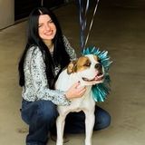 Flower Mound House Sitter Available For Job Opportunities