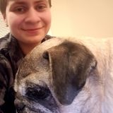 Stony Brook Dog Walker Interviewing For Job Opportunities