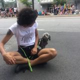 Experienced Pet Sitter contact me