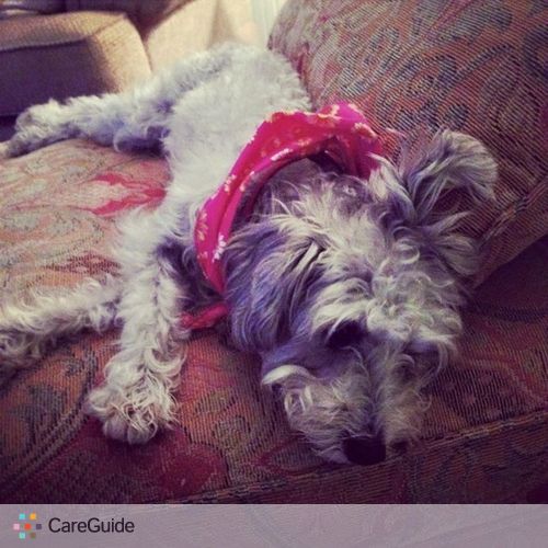 Pet Care Job Lindsay Kitchens's Profile Picture