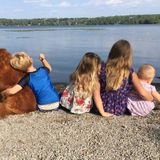 Nanny Needed!