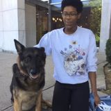 The Bronx Pet Sitter Available For Job Opportunities