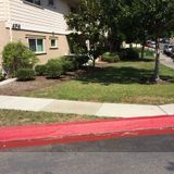 Terry's affordable landscaping We'll mow it, when u grow it
