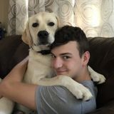 Qualified Animal Caregiver in Apex
